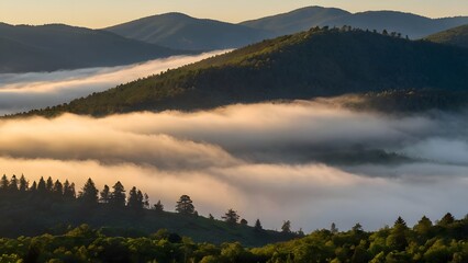 Morning Misty Mountain Range