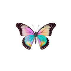Vibrant iridescent butterfly isolated on Transparent Background