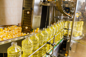 Automated Sunflower Oil Bottling Line in Modern Factory with Transparent Bottles and Industrial...