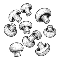Multiple Button Mushrooms Falling or Floating in a Detailed Black and White Outline Line Art Drawing