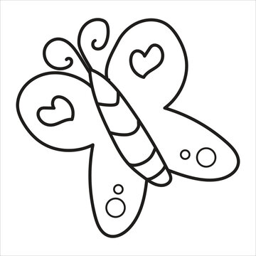 black and white Butterfly with Open Wings