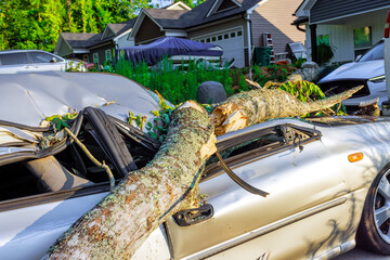 Strong winds cause tree branches to fall on parked car in quiet suburban area post storm.