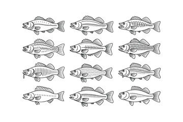 Black and White Line Drawings of Perch Fish Icon Set icons