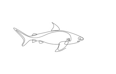 shark continuous line art drawing