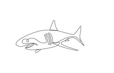 shark continuous line art drawing
