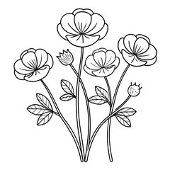 buttercups-line-art-on-white-background