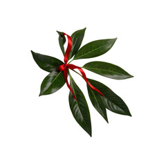 Obraz premium Elegant Green Leaves with Red Ribbon Bow - Festive Botanical Decor