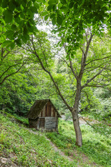 Old water mill for grinding grain on Cerna Valley, Romania, Europe