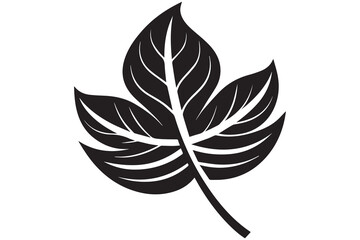 Leaves line vector icon set. Leaf shapes design for logo and natural beauty design element. Vector illustration.
