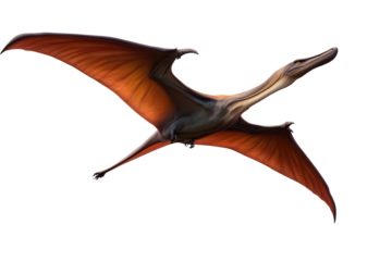 Pterodactyl flying concept isolated on transparent background, showcasing detailed wingspan and anatomical features in flight