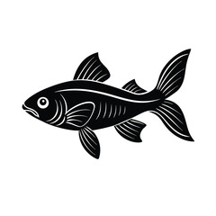 fish on a white background