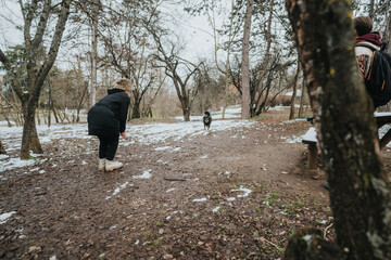 A group enjoys a brisk winter day in the park, playing with their dog amidst bare trees and light...