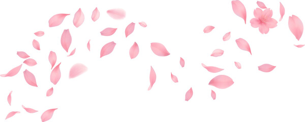 Sakura petal spring blossom on white banner Sakura wallpaper or web banner design template. Vector illustration of realistic  for Valentine's Day, Mother's Day, March 8. Love.