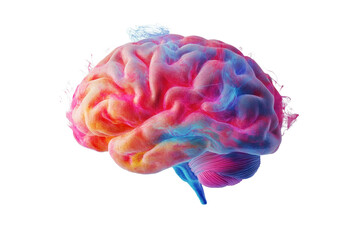 Vibrant representation of a human brain illuminated with colorful effects set against a clean white background showcasing intricate neural structures and creative energy