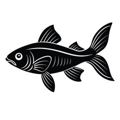 fish on a white background