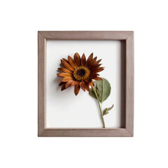 Framed Autumn Sunflower A Minimalist Botanical Study