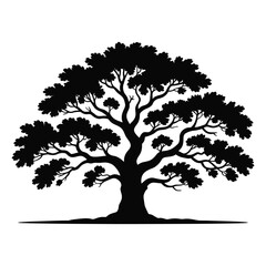 Black Silhouette of a Large Deciduous Tree silhouette