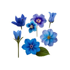 Collection of Vibrant Blue Flowers Isolated on Transparent Background