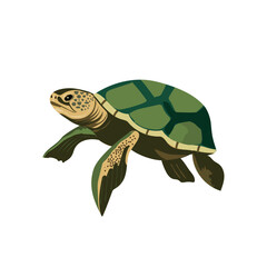 Graceful Green Sea Turtle Vector  Tortuga Marina JPG Marine Animal Illustration for Wildlife Designs, Detailed Shell and Ocean Life Colors