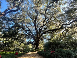 Lush green park filled with colorful flowers and tall trees. Bright and vibrant nature scene ideal...