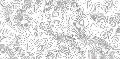 Abstract Modern design with White background with topographic wavy pattern design. Geographic abstract grid. Geographic curved, vector illustration.	
