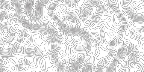 Abstract Modern design with White background with topographic wavy pattern design. Geographic abstract grid. Geographic curved, vector illustration.	
