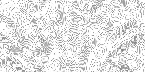 Abstract Modern design with White background with topographic wavy pattern design. Geographic abstract grid. Geographic curved, vector illustration.	
