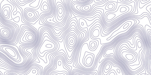 Abstract Modern design with White background with topographic wavy pattern design. Geographic abstract grid. Geographic curved, vector illustration.	
