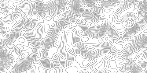 Abstract Modern design with White background with topographic wavy pattern design. Geographic abstract grid. Geographic curved, vector illustration.	
