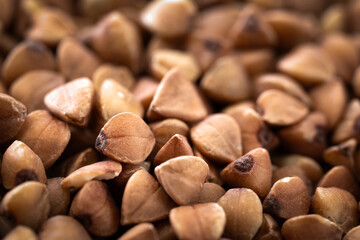 Macro photo of raw buckwheat grains in selective focus