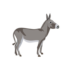 Grey Donky Vector Illustration Farm Animal Cartoon Style Side View