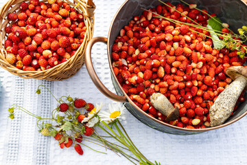 a bowl filled with fresh red wild strawberries, wild mushrooms and chamomile.