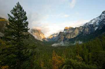Yosemity