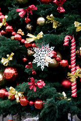 Weihnachtsbaum