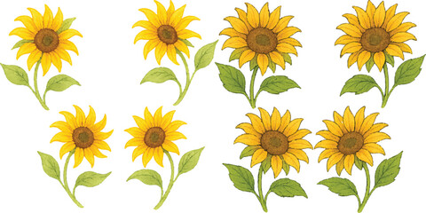 Hand-Drawn Watercolor Sunflower Illustration Set Colorful Single Bloom Floral Elements with Petals and Leaves, Isolated Transparent Background for Botanical Art, Packaging, and Decor | Generative AI