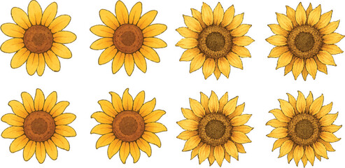 Hand-Drawn Watercolor Sunflower Illustration Set Colorful Single Bloom Floral Elements with Petals and Leaves, Isolated Transparent Background for Botanical Art, Packaging, and Decor | Generative AI