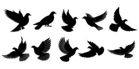 Silhouettes of doves in various poses