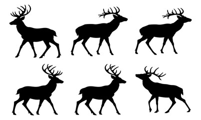 Silhouetted deer in various positions