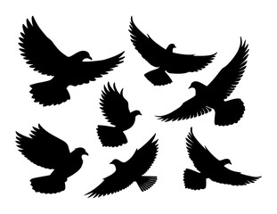Silhouette of several doves in flight pose