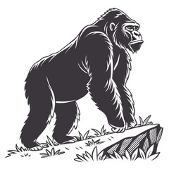 Obraz premium Gorilla isolated animal silhouette