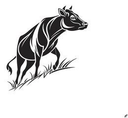 Fototapeta premium vector illustration of a zebra