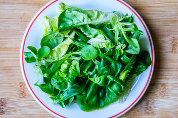 Plate Of Healthy Vegetarian Rosa Verde Salad Leaves