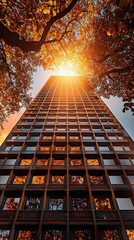 View looking up at a tall building with sunlight peaking through the trees in autumn season