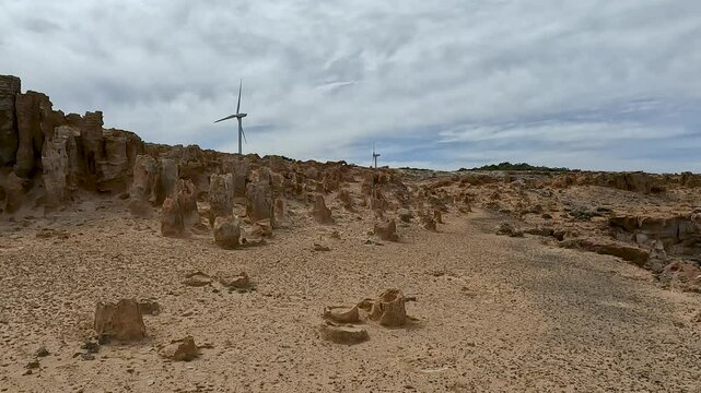 Petrified Forest and Limestone Formations at Cape Bridgewater - Geological Wonders of Discovery Bay Coastal Park, Victoria Australia