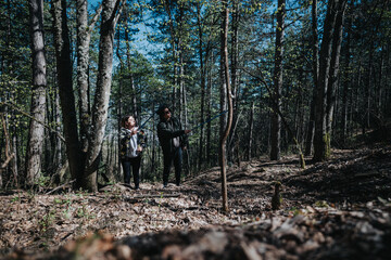 Obraz premium A serene scene of two people walking in a secluded forest, enjoying a hike amidst tall trees and experiencing nature's tranquility under the clear sky.