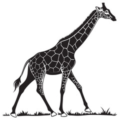 Naklejka premium Giraffe isolated animal silhouette