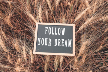 Sign that says Follow Your Dream is placed in a field of tall grass