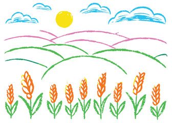 Obraz premium Golden wheat fields stretch towards the vast summer sky, a vibrant nature landscape