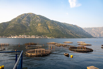 Pisciculture dans les bouches de Kotor devant Perast