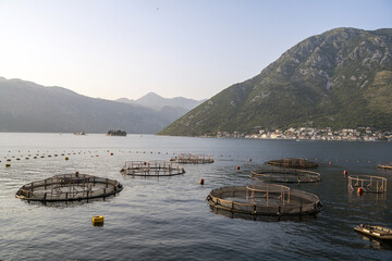 Pisciculture dans les bouches de Kotor devant Perast